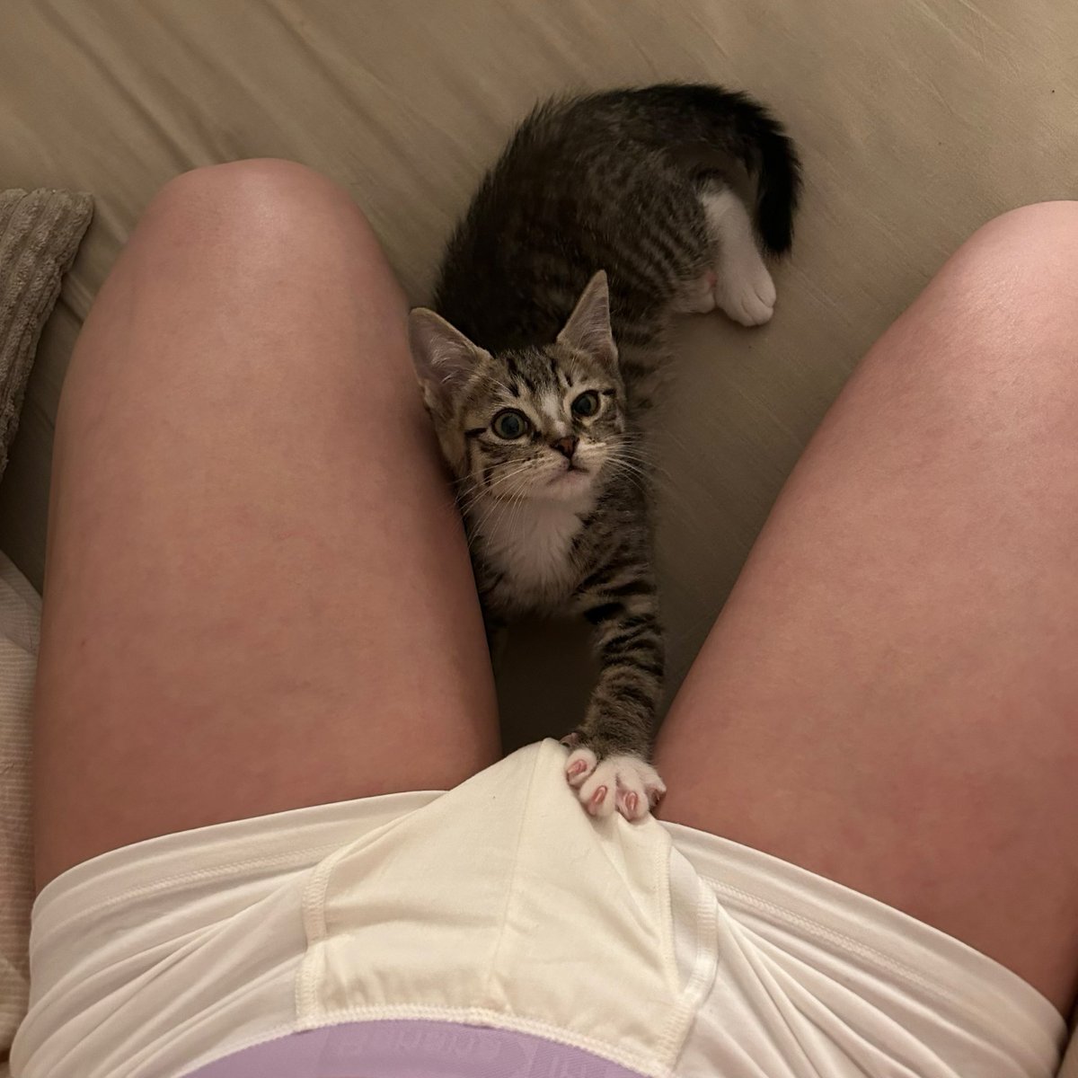 新买了内裤 不知道穿给谁看
那就穿给小猫咪看吧🫣