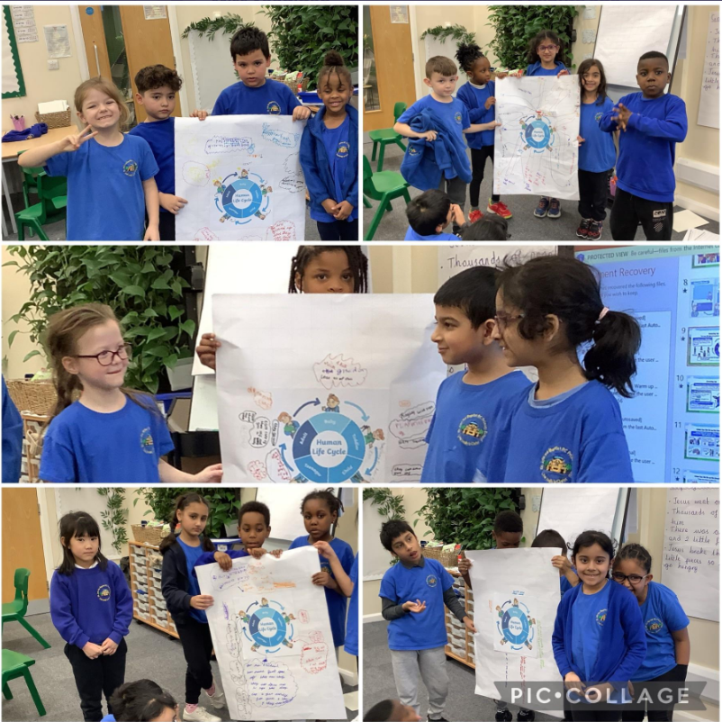 StJohnsRCRoch2's tweet image. Year 2 have been working amazingly as a team to present their knowledge about the human life cycle to the rest of the class 👨🏽‍🔬🪴💟#OneFamilyinChrist #year2science #ks1