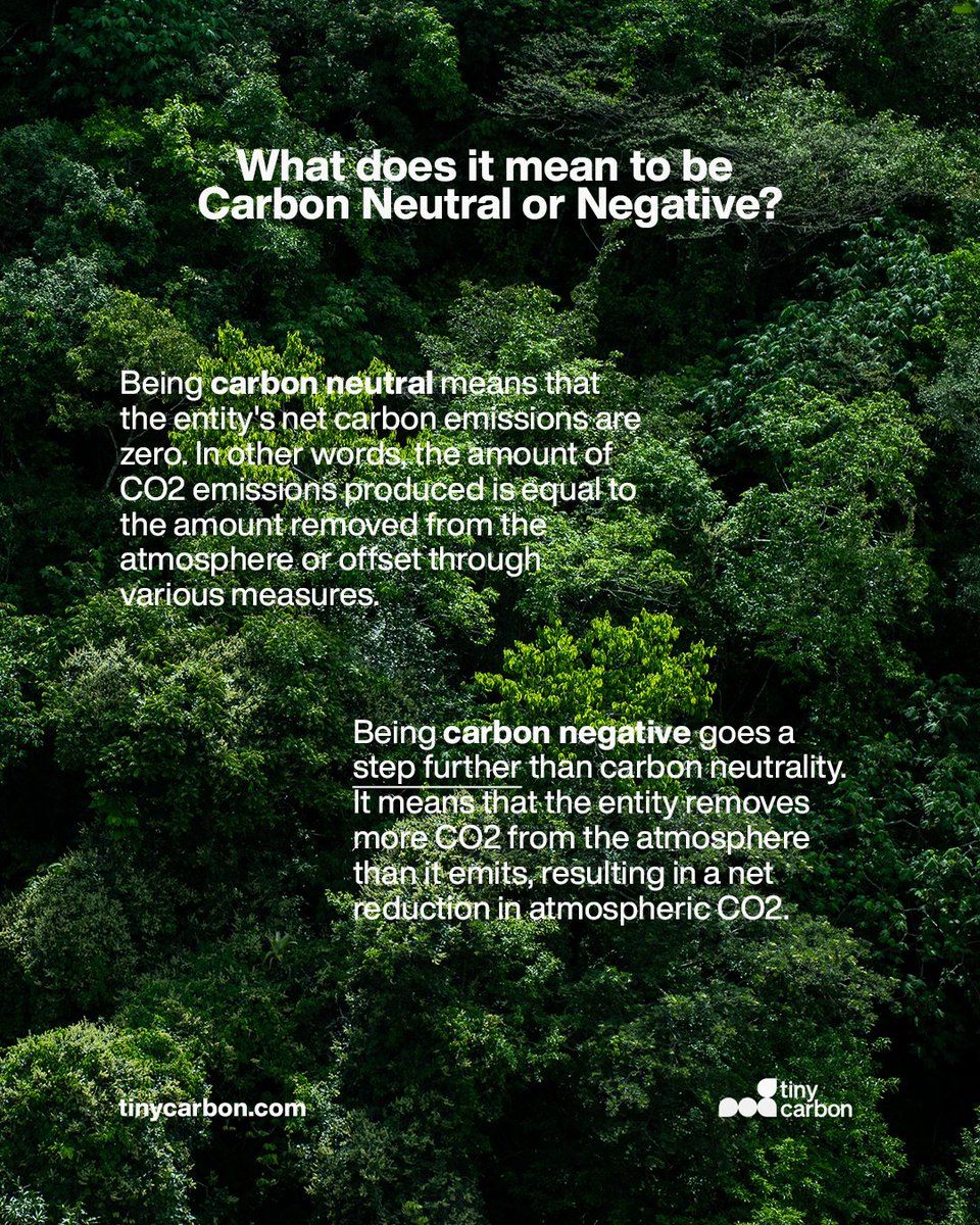 To become carbon neutral, minimizes its emissions and actively invests in projects or technologies that remove and store the amount of CO2 that they were unable to minimize. Carbon negative is going beyond that!

Check out tinycarbon.com for more! #TinyCarbon