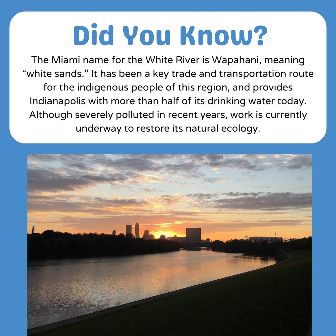 ourwaterways's tweet photo. The White River was once a key trade and transportation route for the indigenous people of this region. It also provides Indianapolis with 60% of its drinking water. Like many others, this waterway has been a crucial feature of human society for countless generations! https://t.co/aTz3FDfoZX