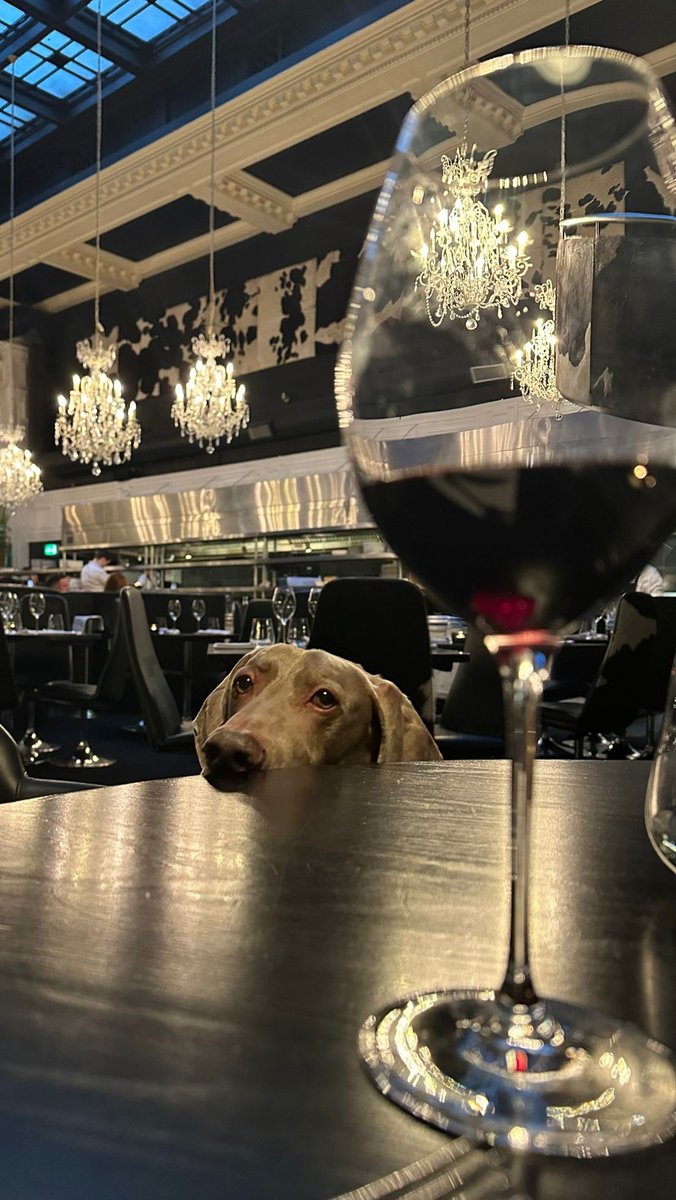 Steve Bailey tweet media