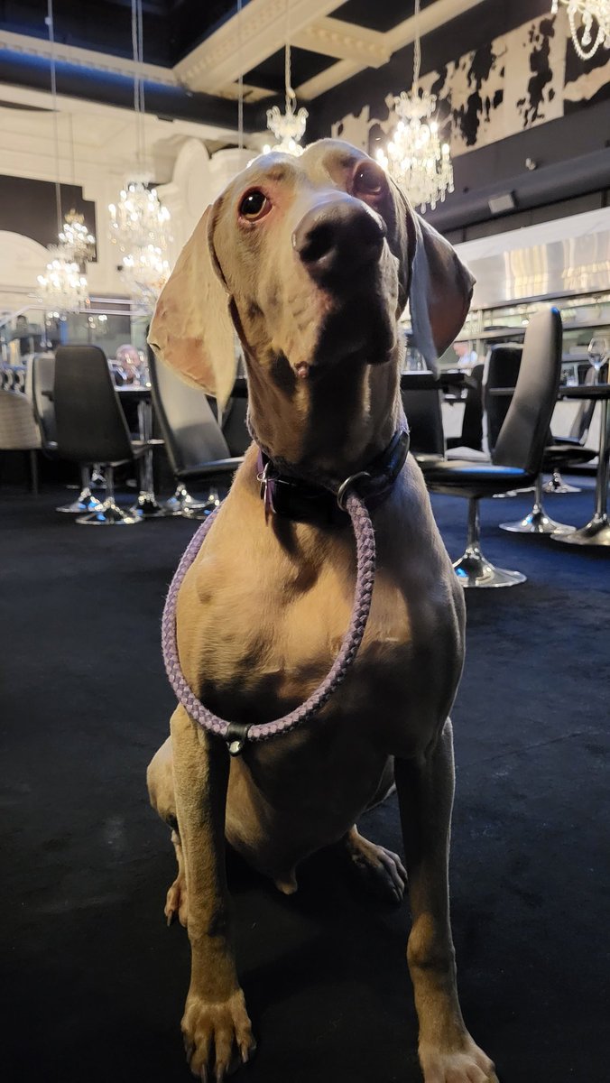 Steve Bailey tweet media