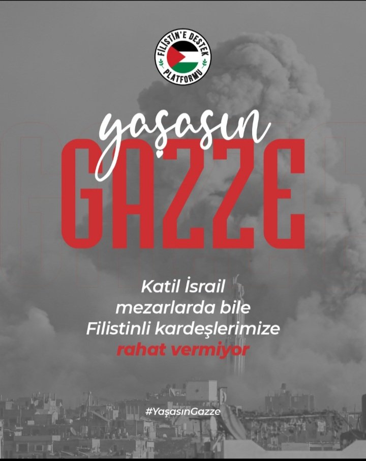 AbdullahDomurc1's tweet photo. https://t.co/6SgilgxM8I