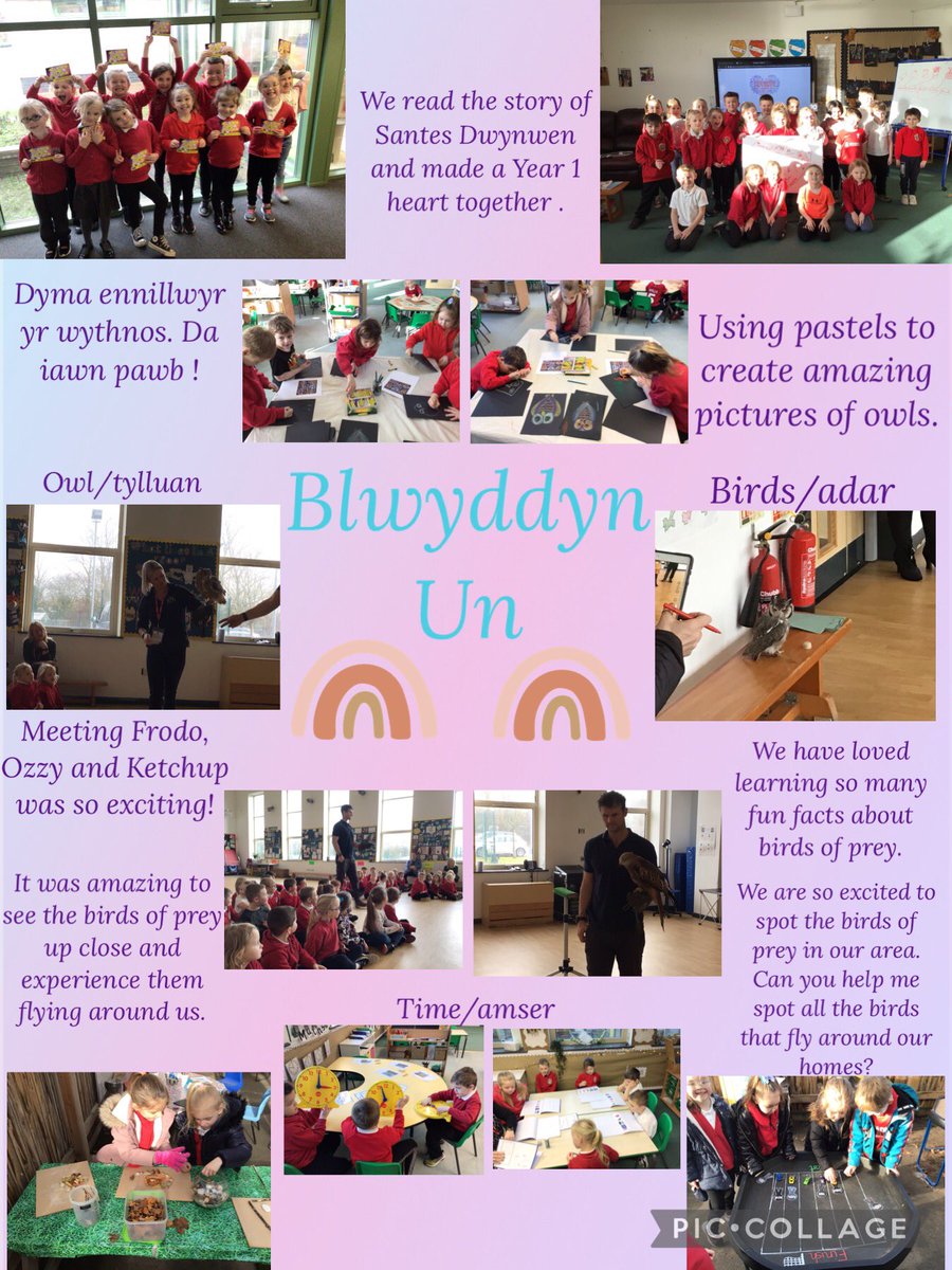 Maes Y Morfa tweet media