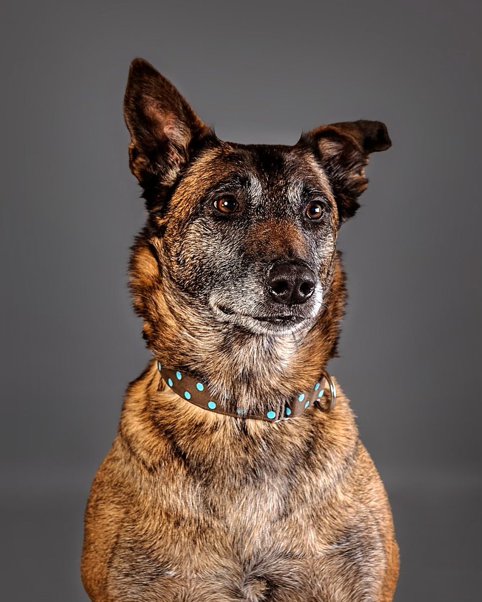 Raleigh Police tweet media