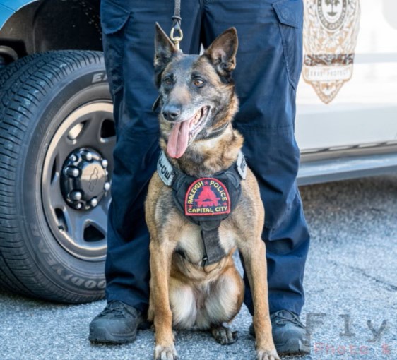 Raleigh Police tweet media