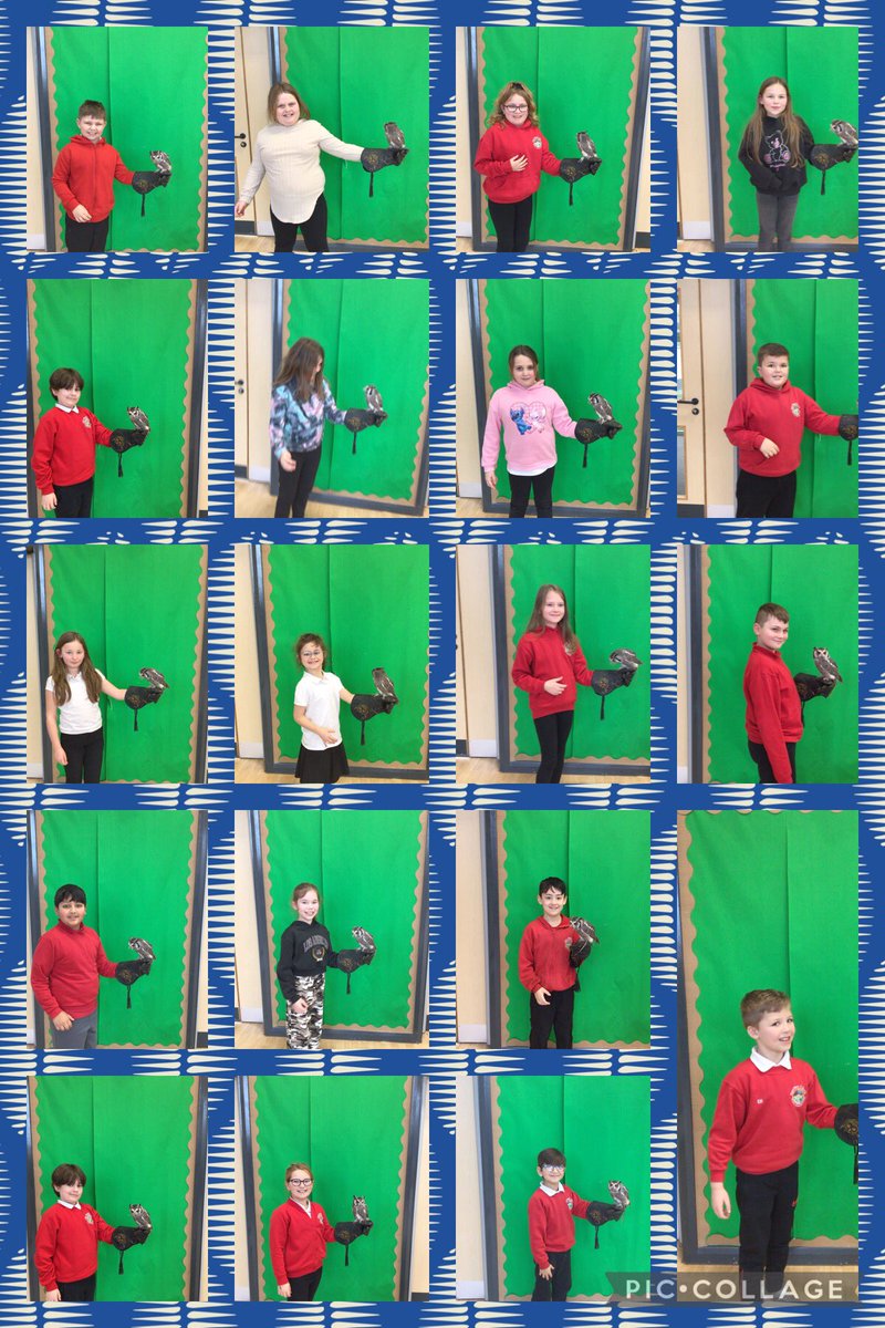 Maes Y Morfa tweet media