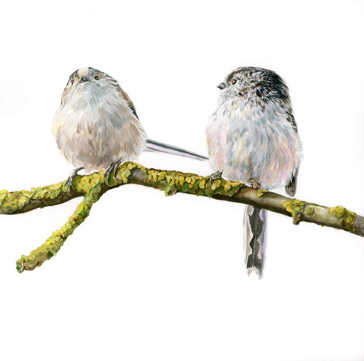 Om de #tuinvogeltelling te vieren krijg je t/m maandag 15% korting met code VOGEL op bestellingen vanaf €15,- Dus óók op al het origineel werk! 

vanjojan.nl

Delen is fijn!