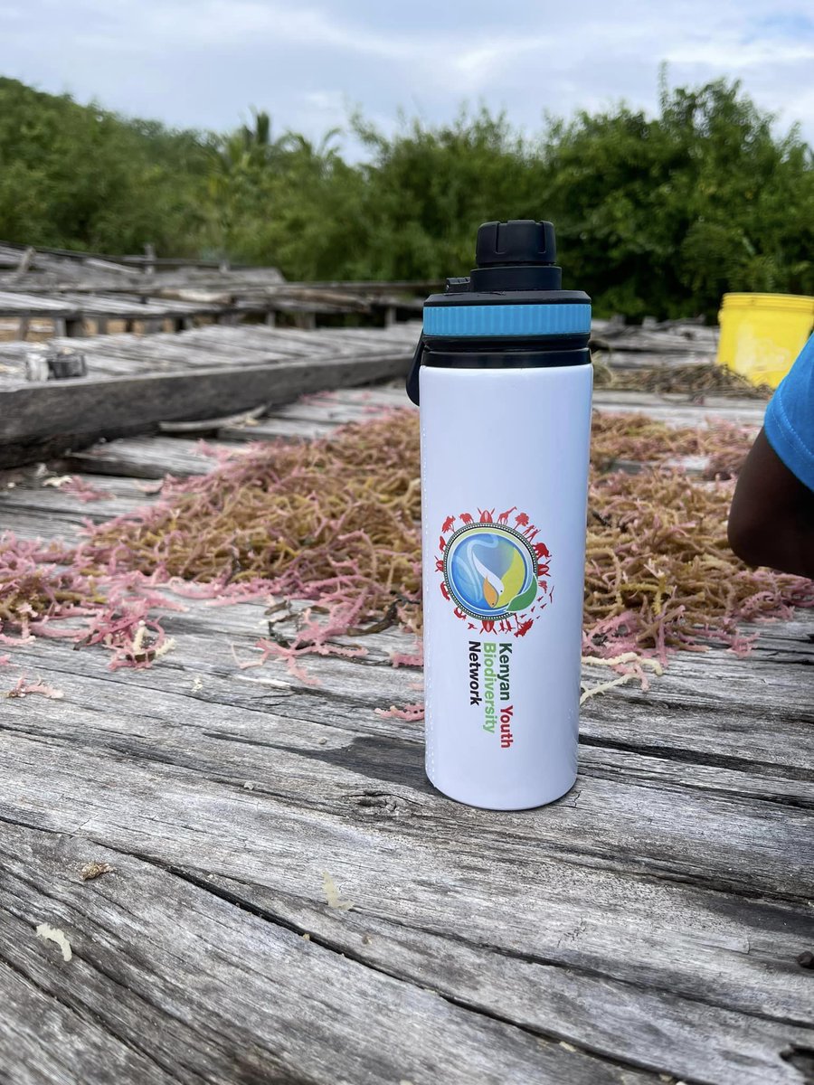UN Biodiversity (@unbiodiversity) on Twitter photo #MangroveRestoration is a critical path to shielding coastal communities from devastating impacts of the climate crisis. Mangroves act as shields against extreme weather events such as coastal flooding, coastal erosion, heat waves and #ecosystemrestoration
Via:<a href="/Youth_ActionKE/">Kenyan Youth Biodiversity Network</a> #MangroveRestoration is a critical path to shielding coastal communities from devastating impacts of the climate crisis. Mangroves act as shields against extreme weather events such as coastal flooding, coastal erosion, heat waves and #ecosystemrestoration
Via:<a href="/Youth_ActionKE/">Kenyan Youth Biodiversity Network</a>
