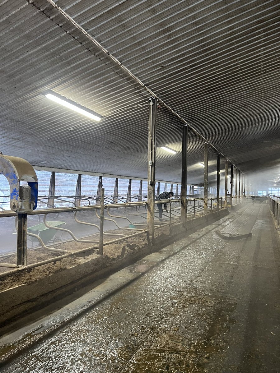 gerritsag's tweet photo. Did a free stall update at Pendora Dairy! 
These are the rail mounted U.S Stalls. https://t.co/pwNclCKTor