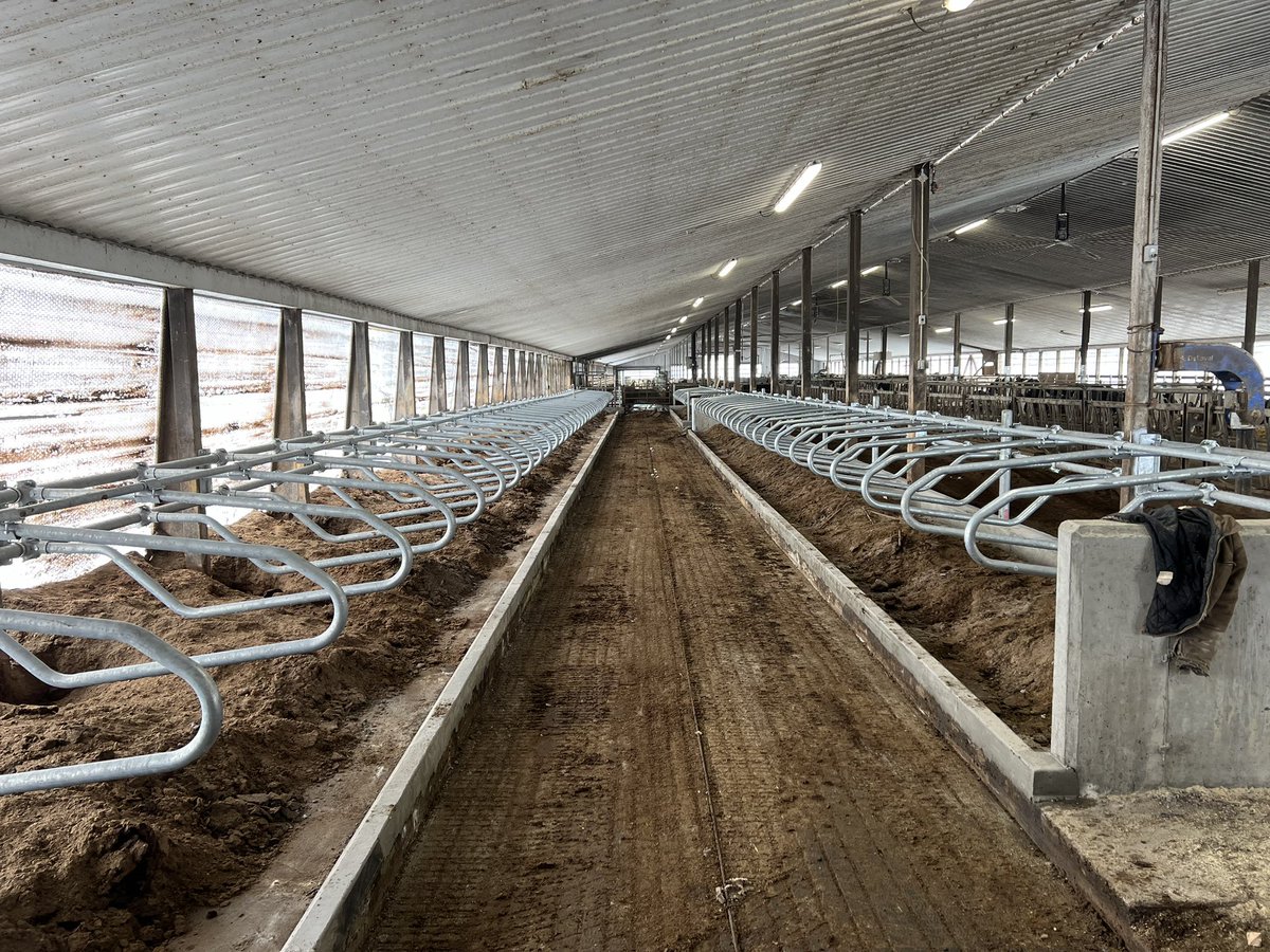 gerritsag's tweet photo. Did a free stall update at Pendora Dairy! 
These are the rail mounted U.S Stalls. https://t.co/pwNclCKTor