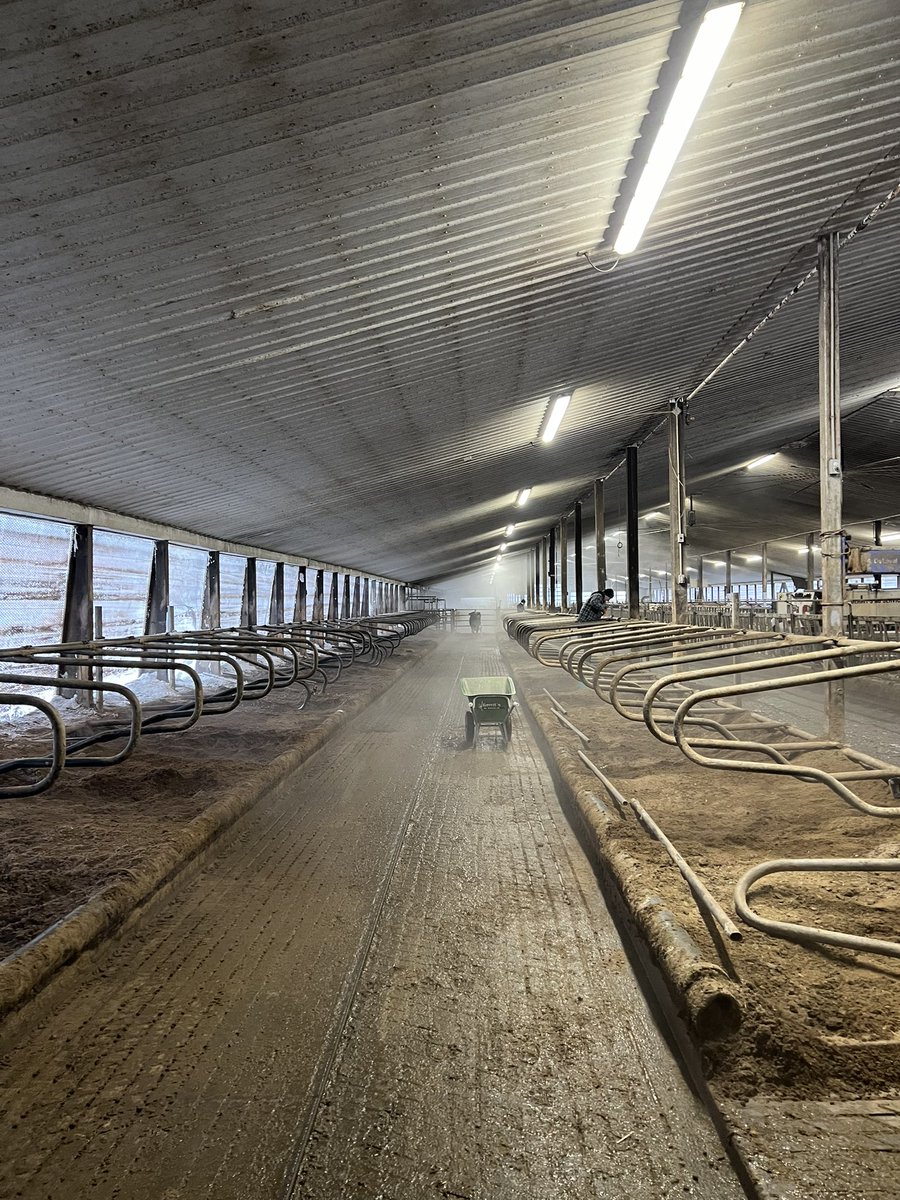 gerritsag's tweet photo. Did a free stall update at Pendora Dairy! 
These are the rail mounted U.S Stalls. https://t.co/pwNclCKTor
