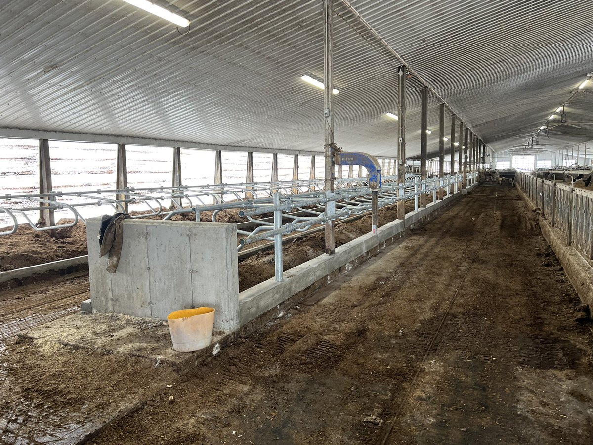 gerritsag's tweet photo. Did a free stall update at Pendora Dairy! 
These are the rail mounted U.S Stalls. https://t.co/pwNclCKTor