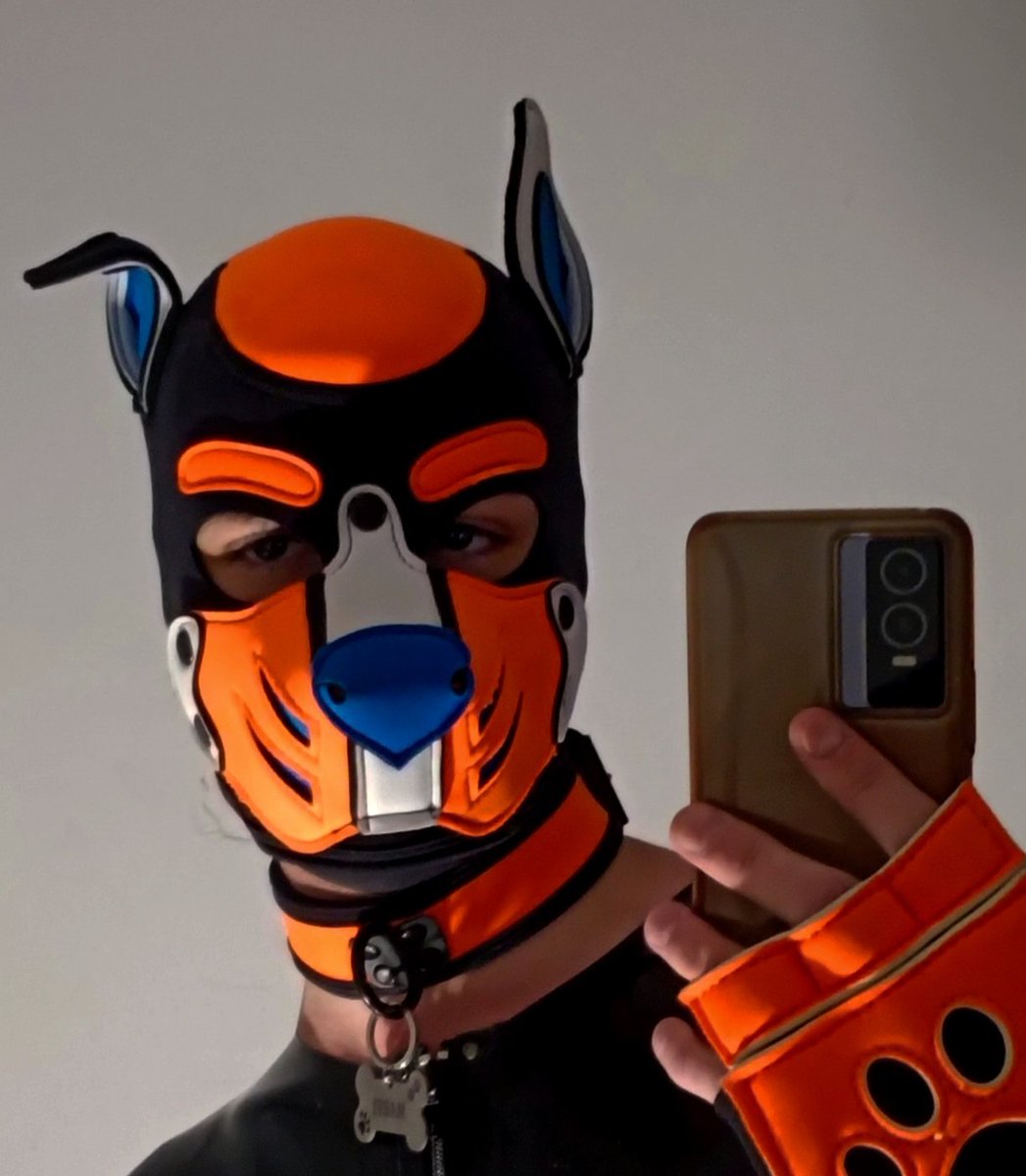 🐶 Marti 🐶 (@SoyElMarti) / Posts / X