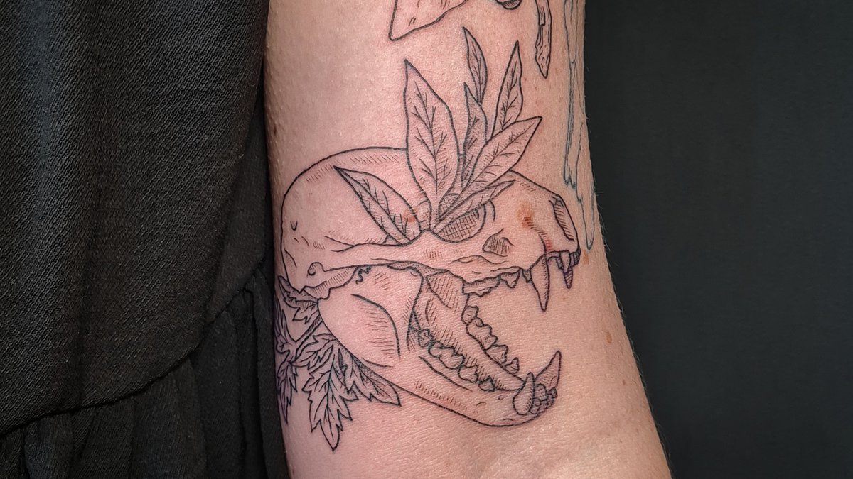 Badger Skull with some leaves for Jodie!