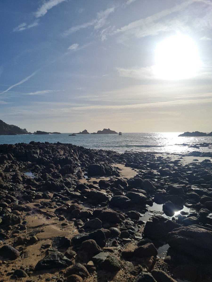 Melanie Sturtevant tweet media