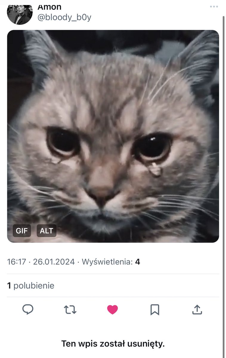 Dowód, że Amon to kicia, ale usunął.