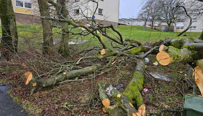 South Lanarkshire Council tweet media