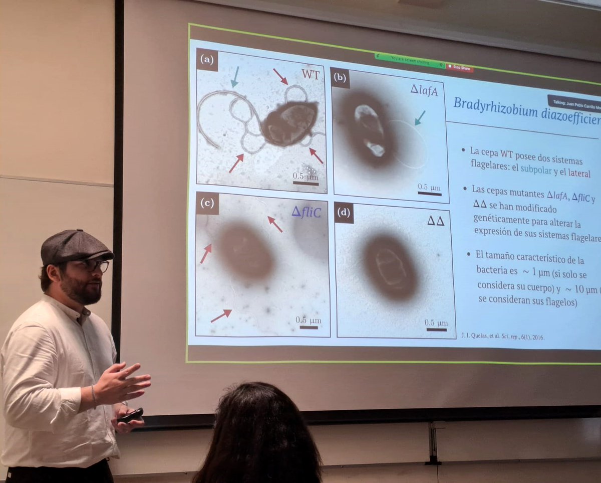 Active Matter tweet media