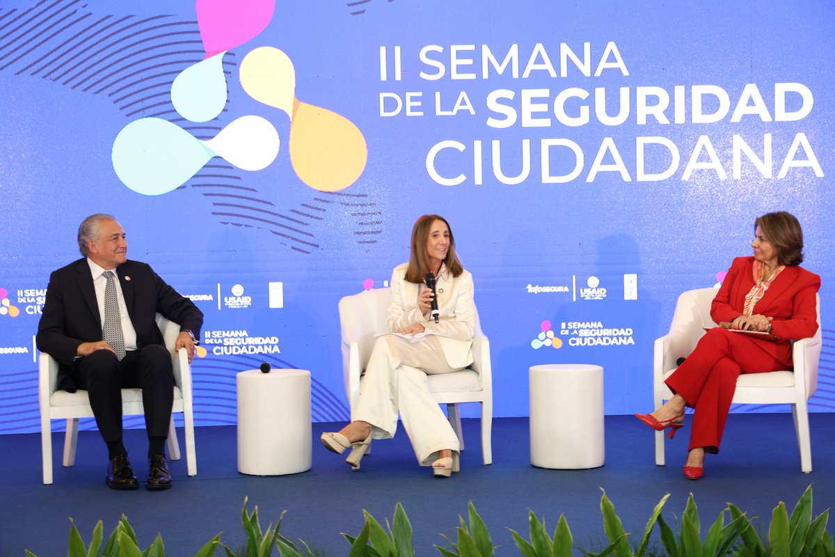 Infosegura PNUD tweet media