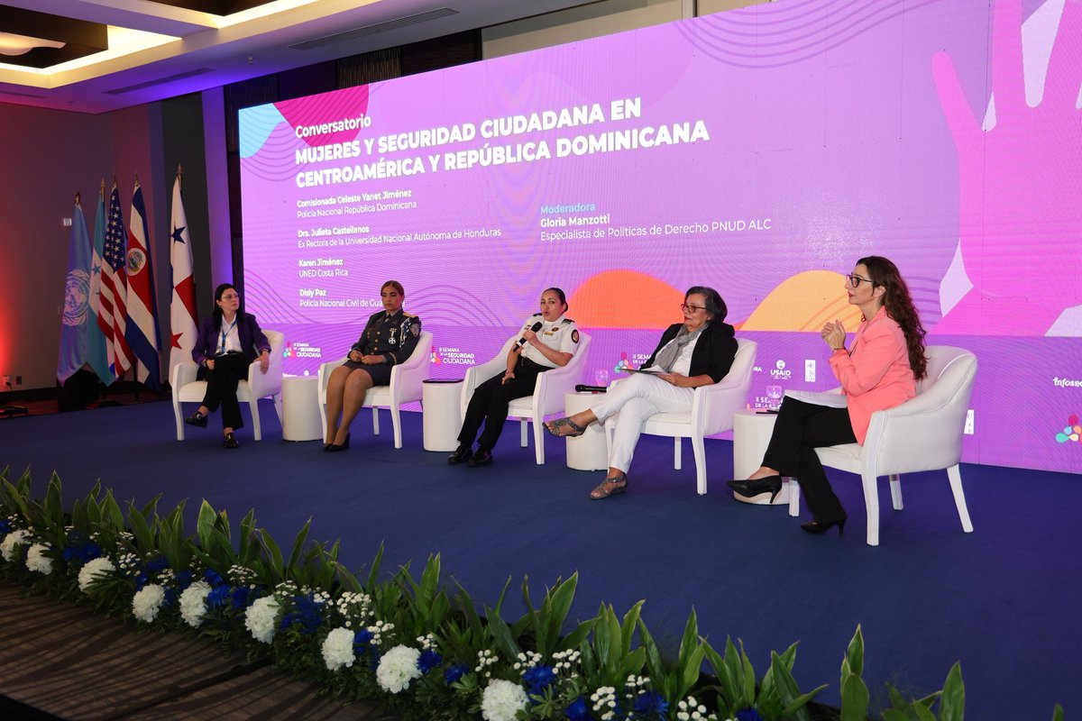 Infosegura PNUD tweet media