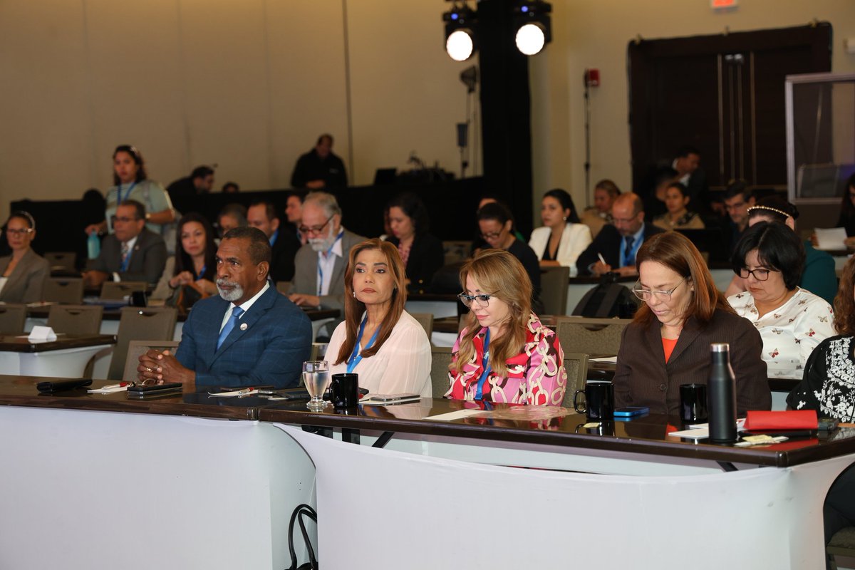 Infosegura PNUD tweet media