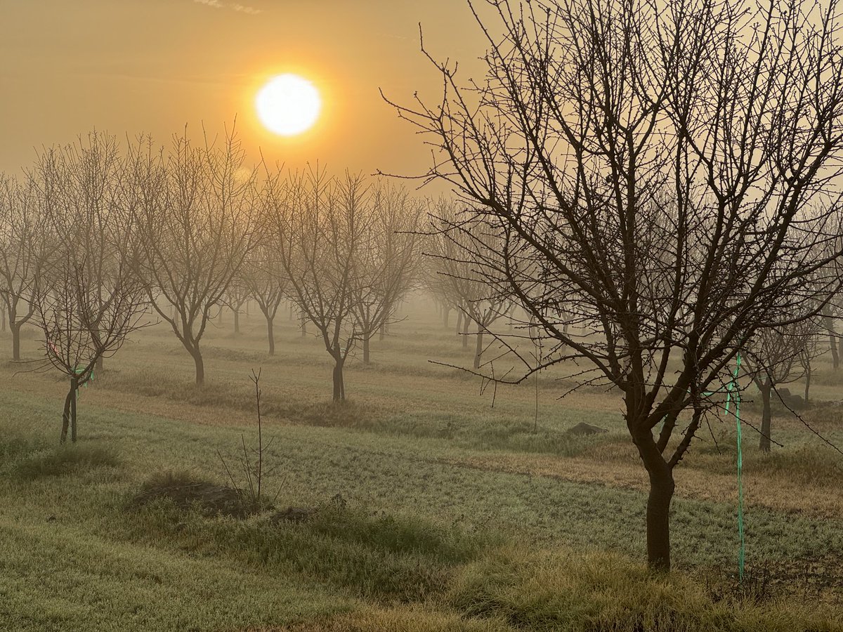 Florent Trouillas tweet media