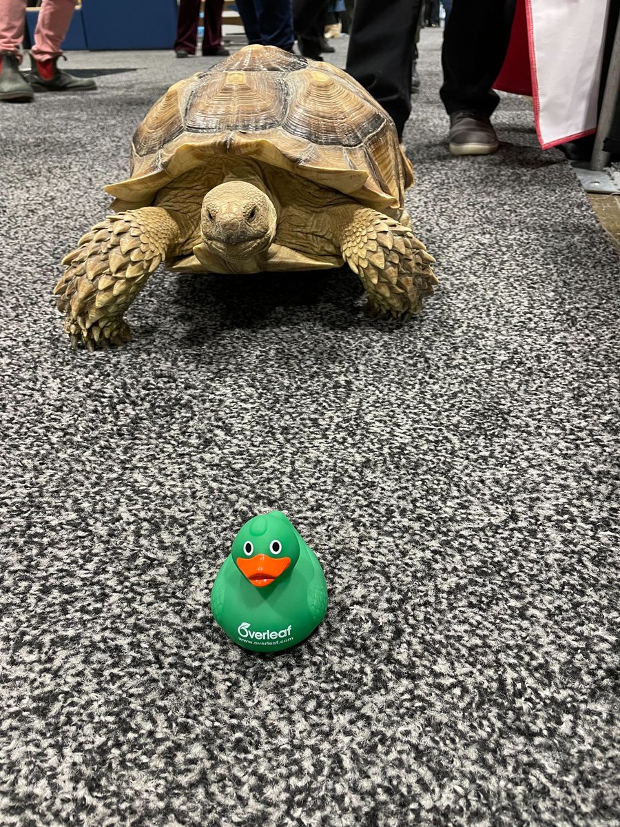 Our fearless Overleaf duck leads a daring escape from the determined turtle pursuit! 🦆 🐢 🏁