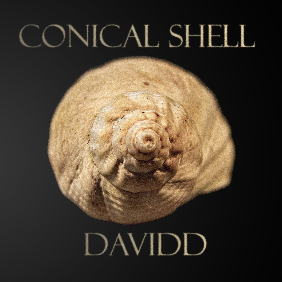 DAVIDD (@musicbydavidd) on Twitter photo 