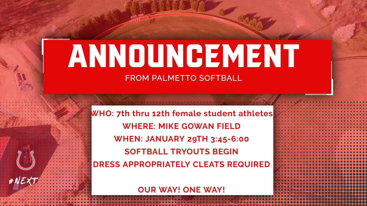 PalmettoSoftba1's tweet photo. #schoolballbegins https://t.co/NmhTXyhVPm