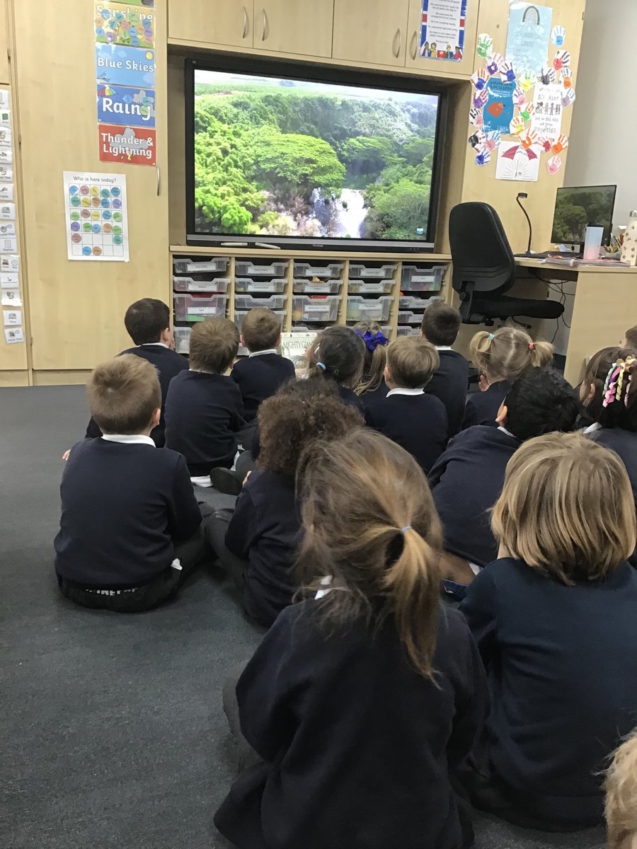 H_E_P_S's tweet image. Cocklemoor have been learning about jungles this week! They watched a video showing what life is like in the jungle. We then discussed why many animals live in the jungle, rather than in Langport! #hepsgeography #hepscience