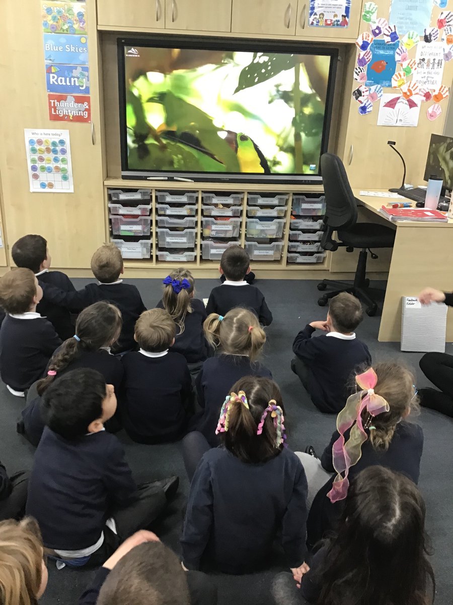 H_E_P_S's tweet image. Cocklemoor have been learning about jungles this week! They watched a video showing what life is like in the jungle. We then discussed why many animals live in the jungle, rather than in Langport! #hepsgeography #hepscience