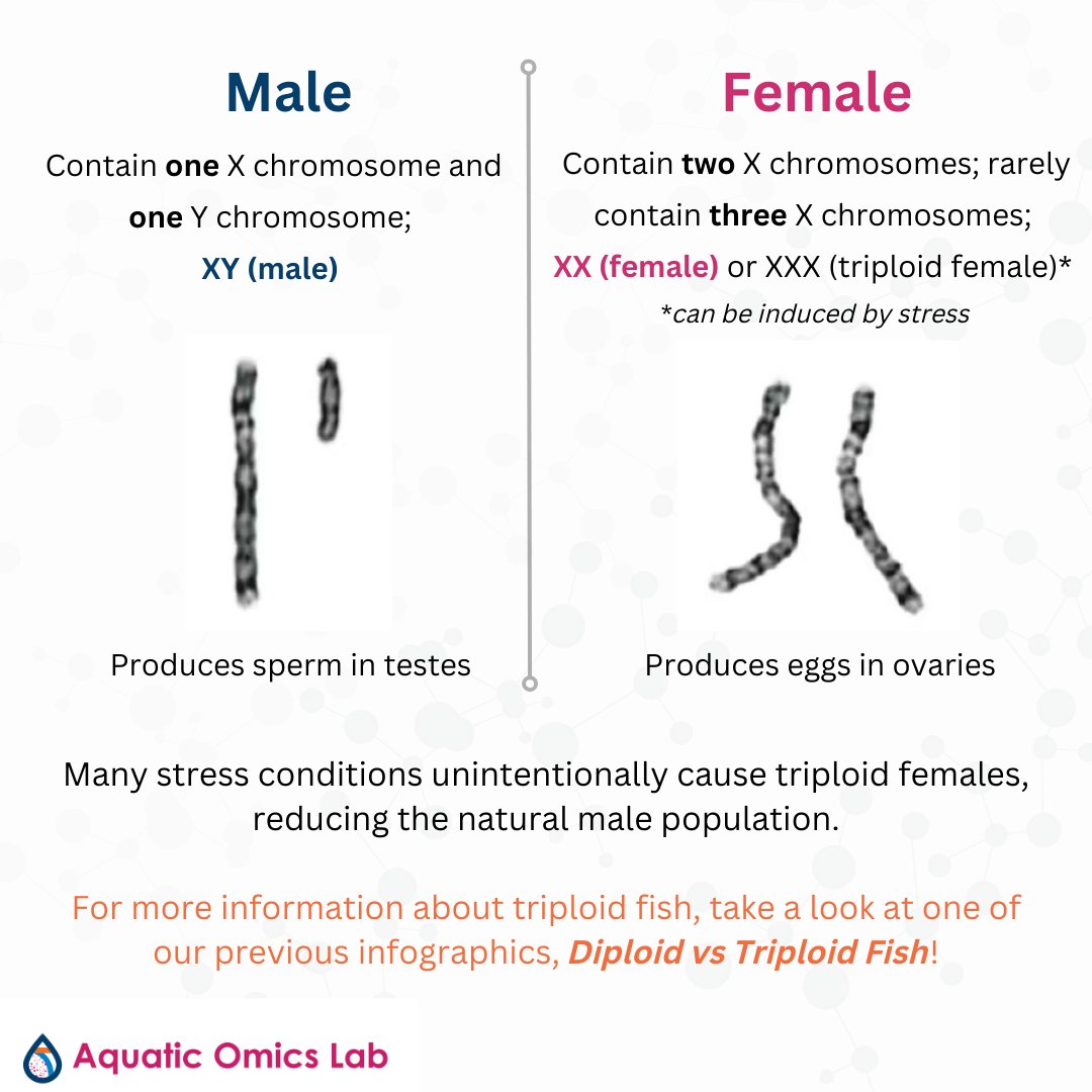 Aquatic Omics Lab tweet media