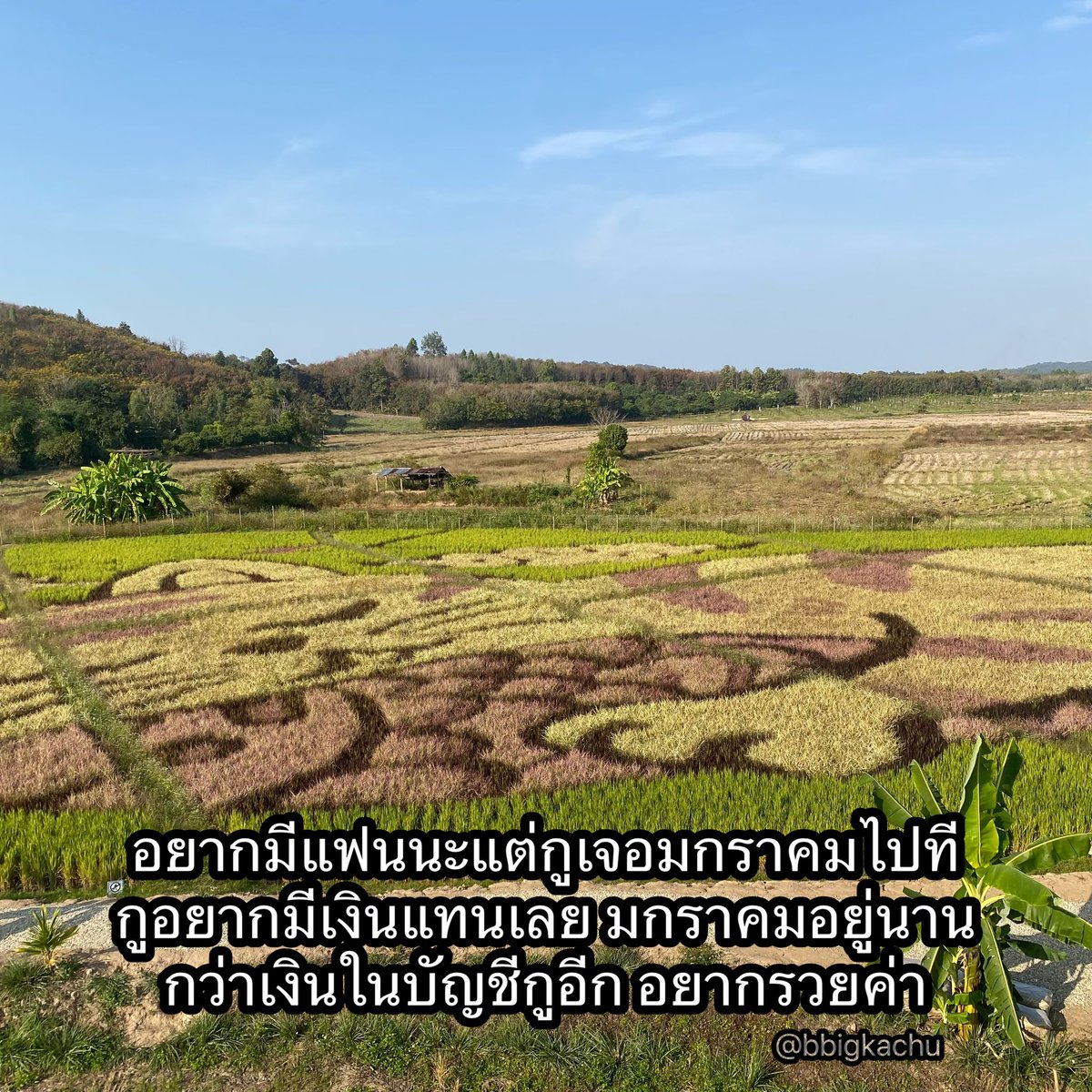 bbigkachu's tweet image. ช่วยกูด้วย 5555555555555555