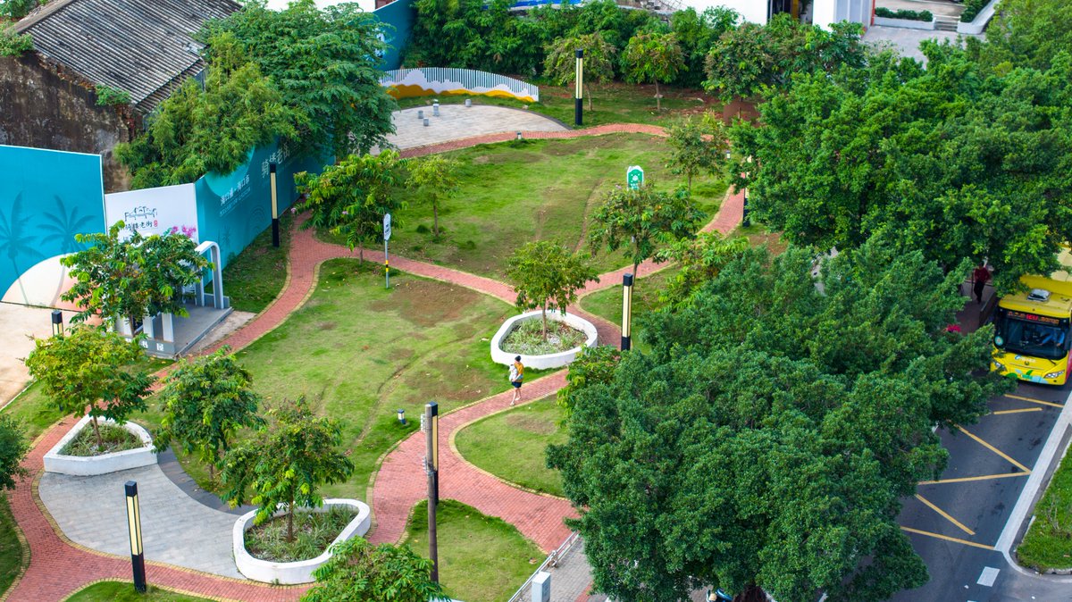 The #urban area of Haikou boasts a great variety of unique city #parks where residents can enjoy their leisure time by singing, dancing, playing sports, and taking walks.🚶🚶

#green #greenlife #nature #naturephotography #views #city #citypark #sustainablelife #environment…