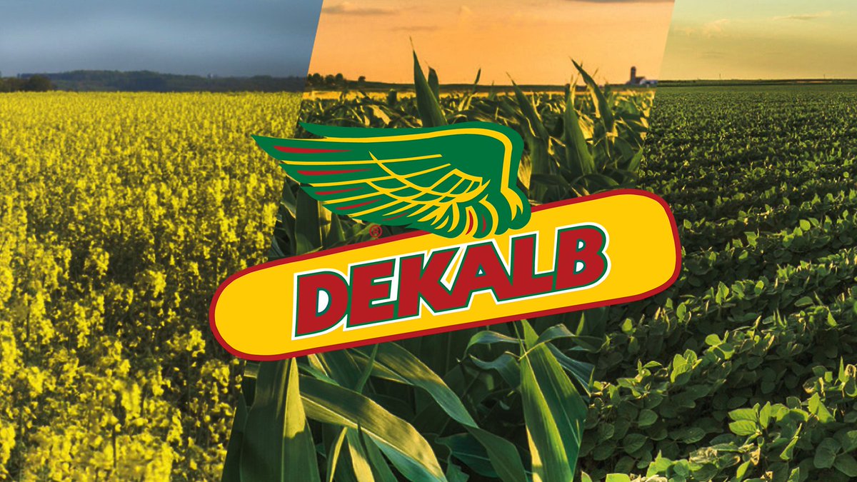 Got your seed booked for #plant24? Now's the time to get started if ya haven't. Get in touch with your Bayer rep to talk #DEKALBSeed options for your farm. Find the canola, corn or soybean seed that's right for you: bit.ly/3LXi6R0