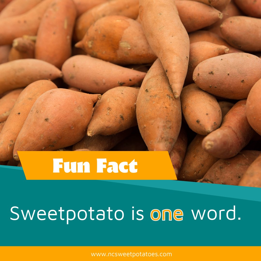 Sweetpotato is one word! The one-word spelling was officially adopted by the National Sweetpotato Collaborators in 1989. 🍠

Sign our petition today!

change.org/p/help-us-corr…

#ncsweetpotatoes #sweetpotatoes #oneword #spelling

@merriamwebster @dictionarycom @apstylebook