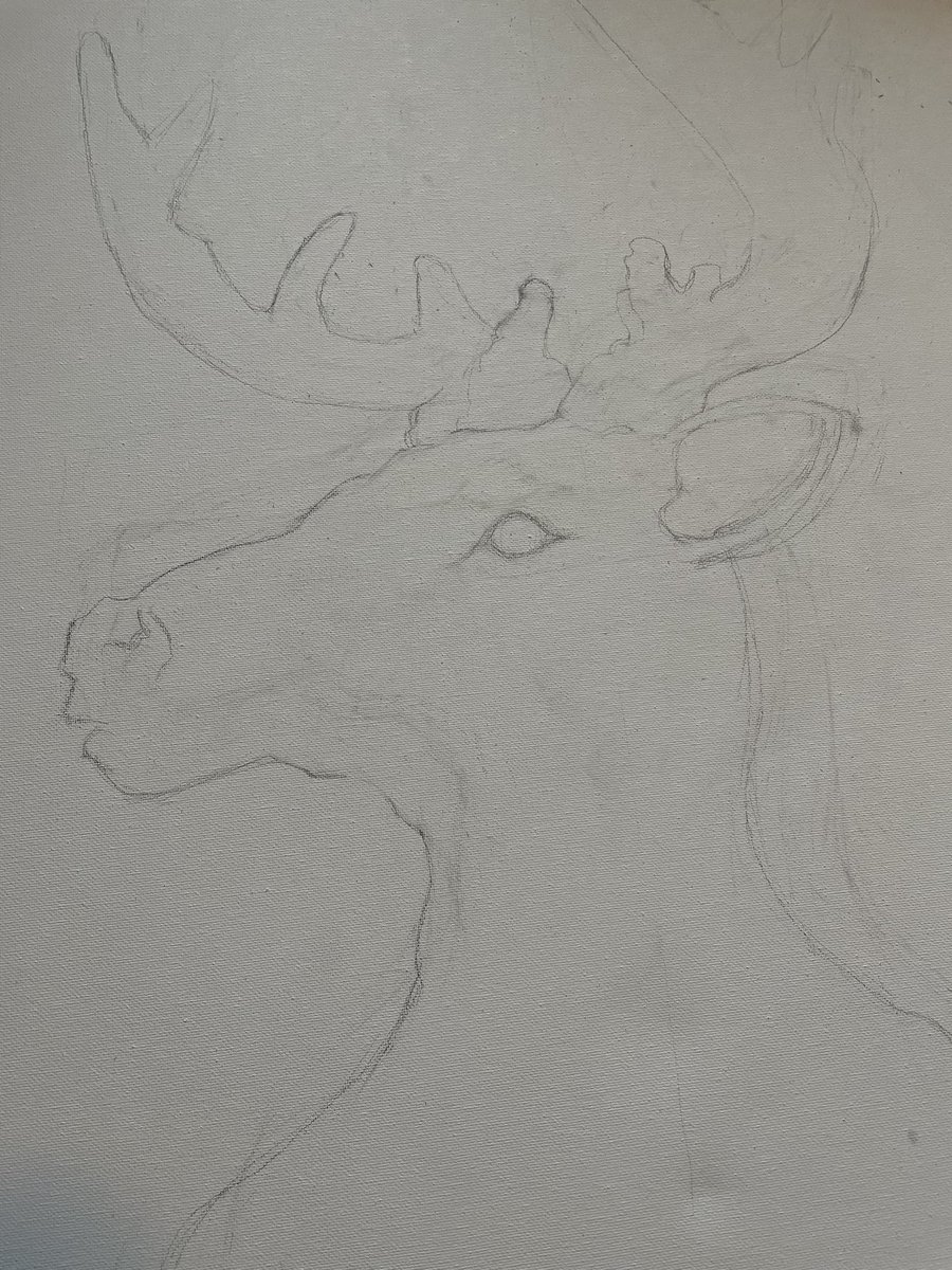 _CV_2025's tweet photo. Do you guys want to see more of the progress? It's slowly coming along and I can't wait to see the finished product.
@StagAlliance #fortheherd https://t.co/RxYn4hqyrx