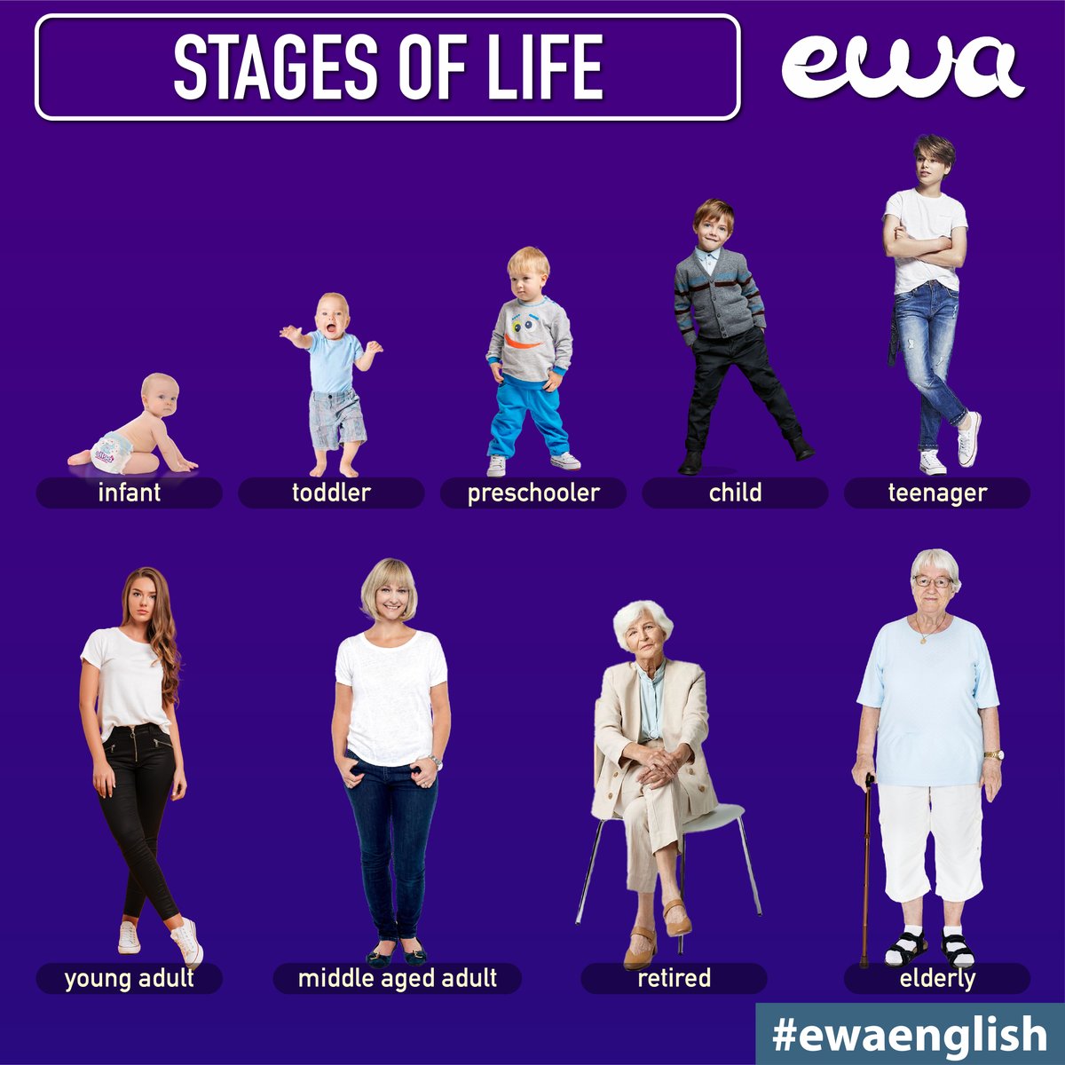 Ewa Learn Languages tweet media