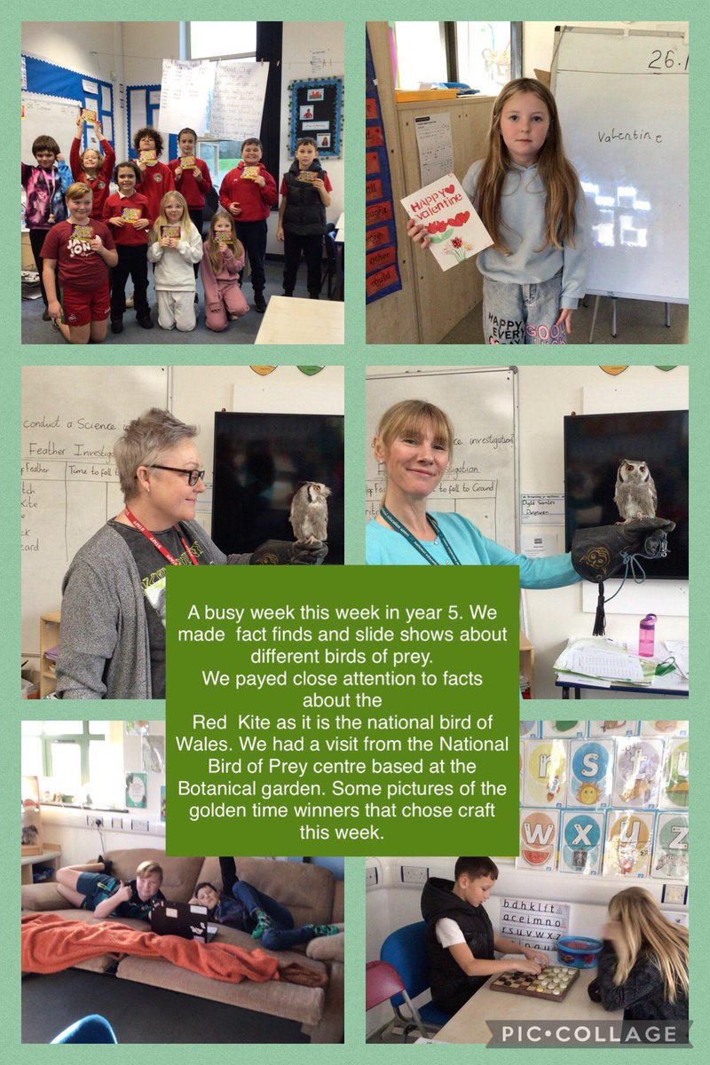 Maes Y Morfa tweet media