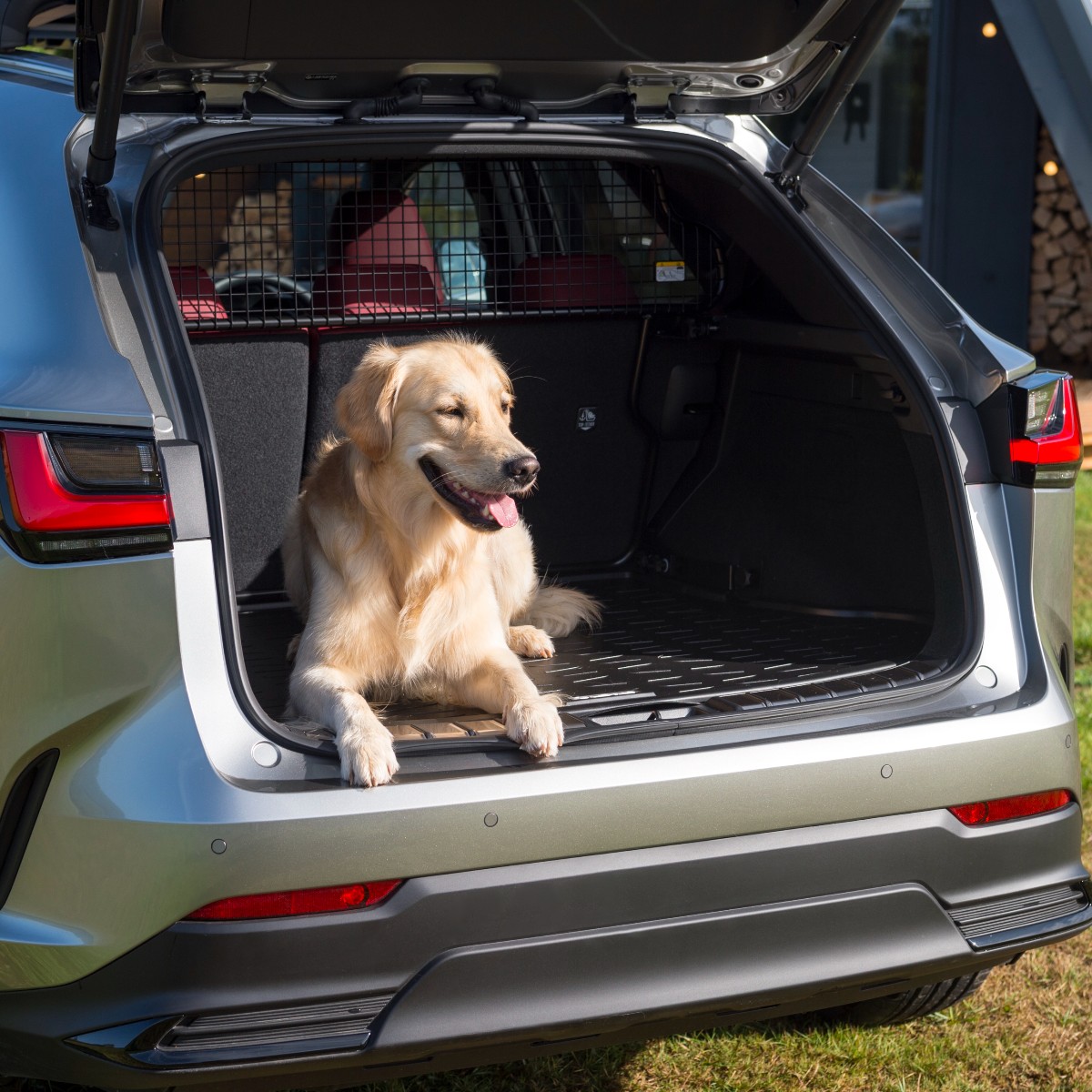 LexusBolton's tweet photo. Four-legged friend approved.
The #LexusNX 450h+. ⛺ https://t.co/m7dNk2ZJTx