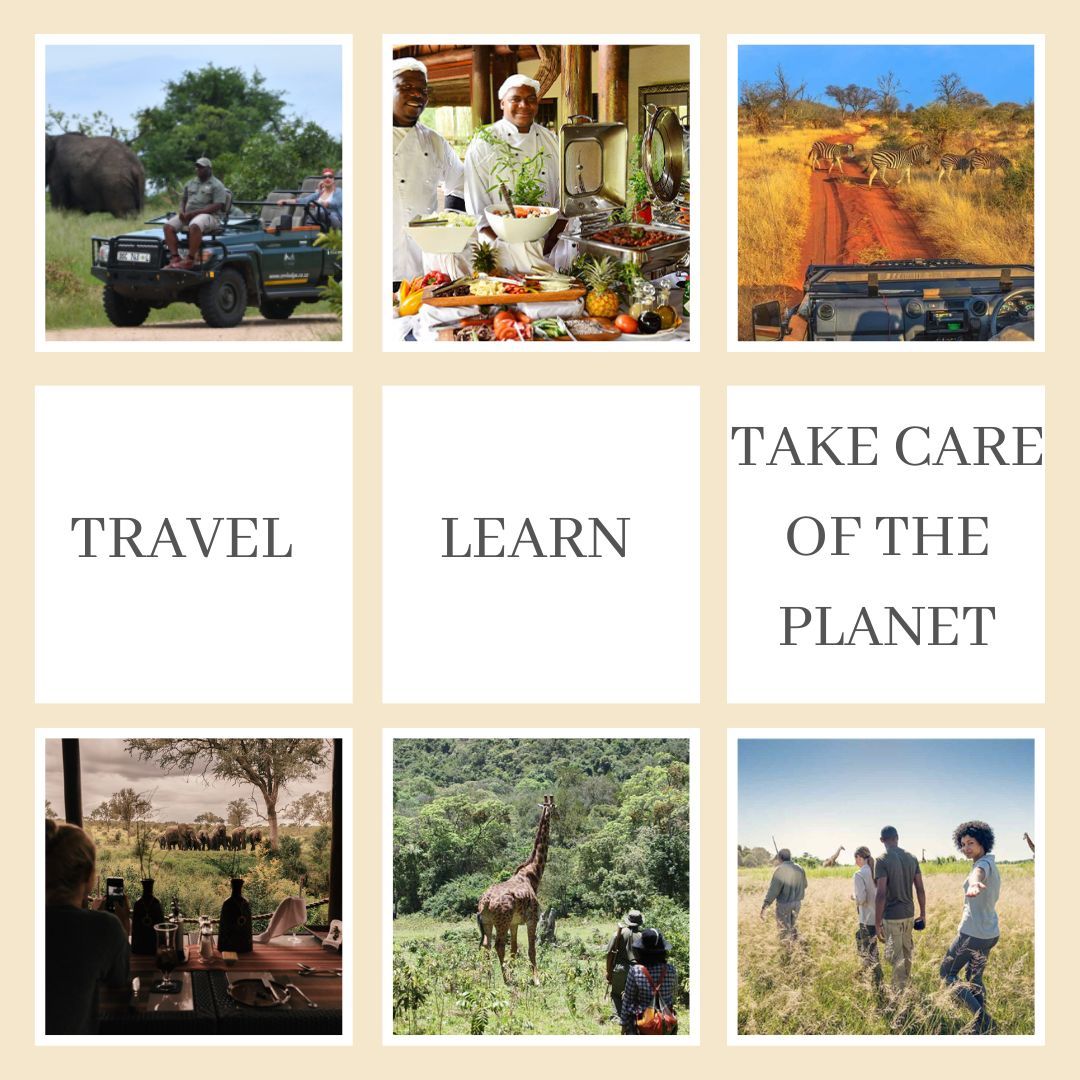 On World Education Day, we celebrate the transformative power of knowledge. In our safaris, we not only take you on a journey through wildlife but also provide a unique educational experience.
#WorldEducationDay #SafariLearning #ExploreAndLearn #KnapTours #Africa
