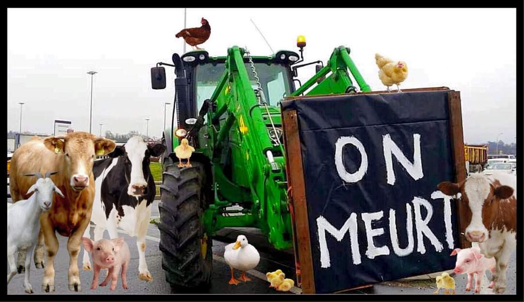 Agena_omega's tweet photo. Quand le monde agricole joue du sarcasme et se plaint ''de mourir '' alors qu'ils sont non seulement les fières représentants des empoisonneurs #MonsantoBayer mais qu'ils sont aussi les #Exploiteurs de millions d'individus innocents, voués à l'esclavage et à la mort ... 😈🤑 https://t.co/TmejWLJ1qr