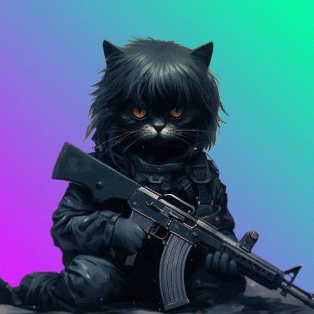 ape_phoenix's tweet photo. @EmoCatAK47 Big Launch coming, Brace up https://t.co/XYg169JTEB