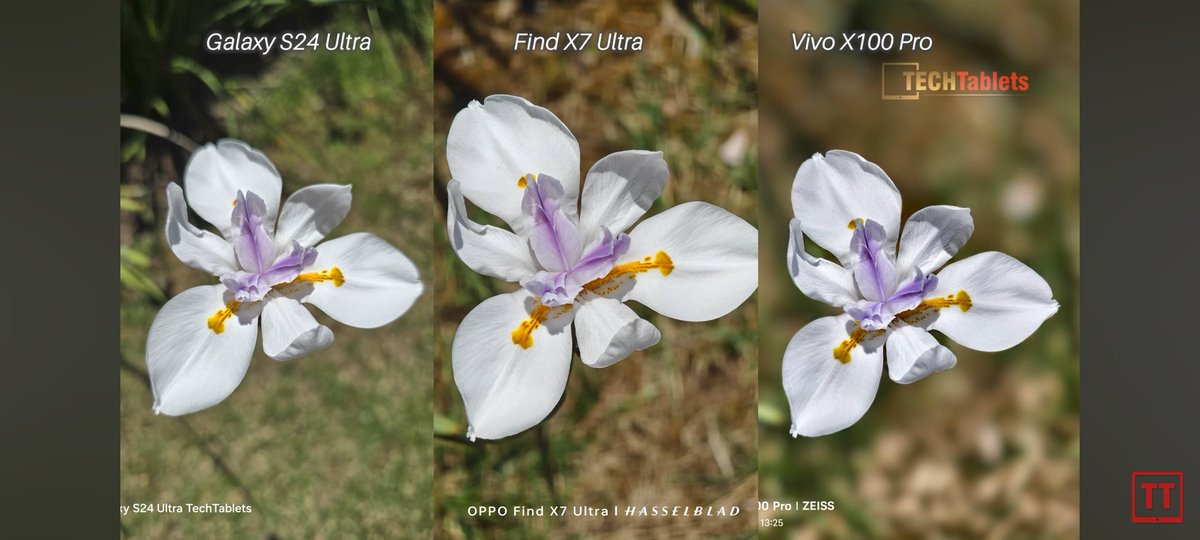 midroid5G's tweet photo. Samsung #GalaxyS24Ultra
#OPPOFindX7Pro
#VivoX100Pro
https://t.co/vQl8WM2i8G https://t.co/qCPfdXriiP
