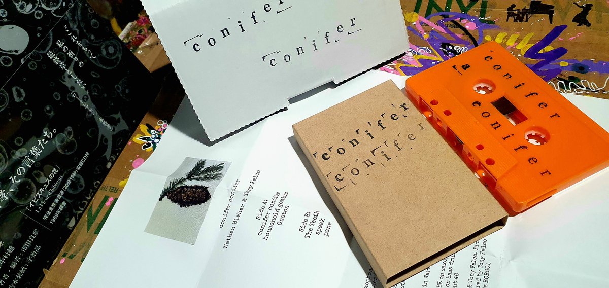 PelpaKarnaval's tweet photo. "conifer conifer".
#music #jazz #freejazz #NathanBlehar #TonyFalco #Tape https://t.co/s2av4QhqsD