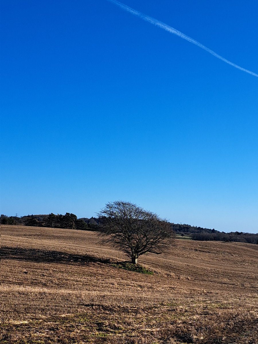 Jaymondo Stirling tweet media