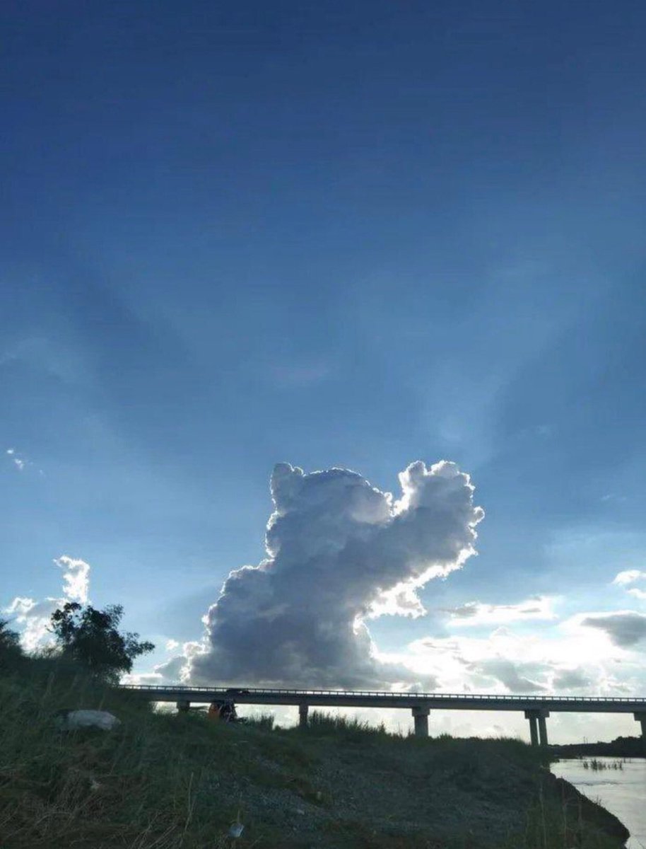 tyomateee2's tweet photo. 天空に出現した巨大な猫、神聖感が凄い…🐱 https://t.co/klOfcADGnW