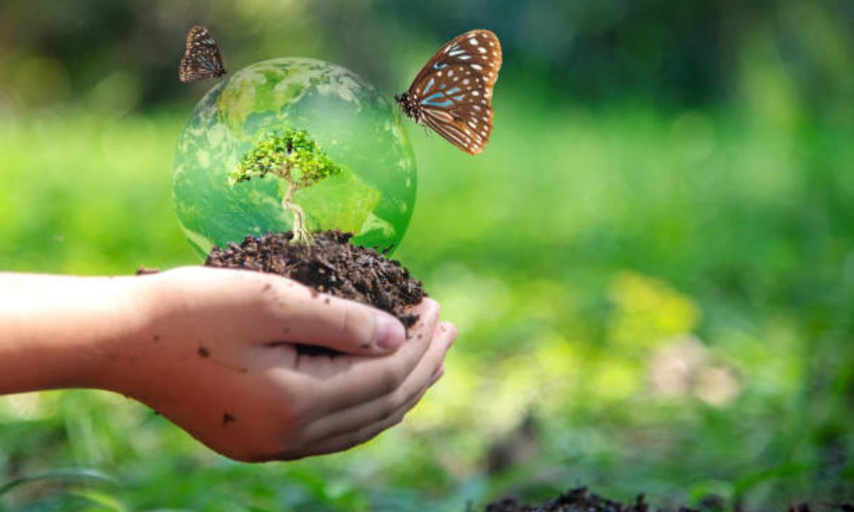 AvagestV's tweet photo. Hoy celebramos el Día Mundial de la Educación Medioambiental 🌍📚 ¡Formemos juntos una población global consciente y comprometida con la preservación de nuestro entorno! 🌿🌎 #EducaciónAmbiental #CuidemosNuestroPlaneta https://t.co/6bU3s47VHe