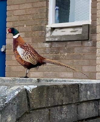 innerwick.ps tweet media